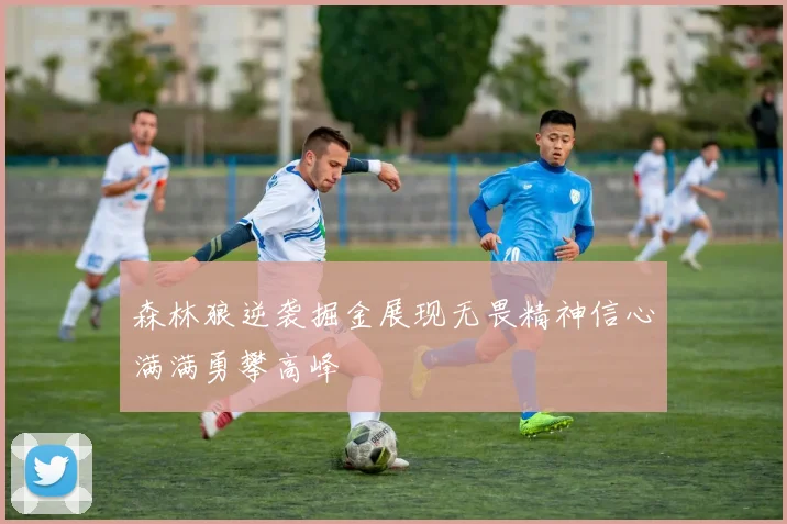 森林狼逆袭掘金展现无畏精神信心满满勇攀高峰